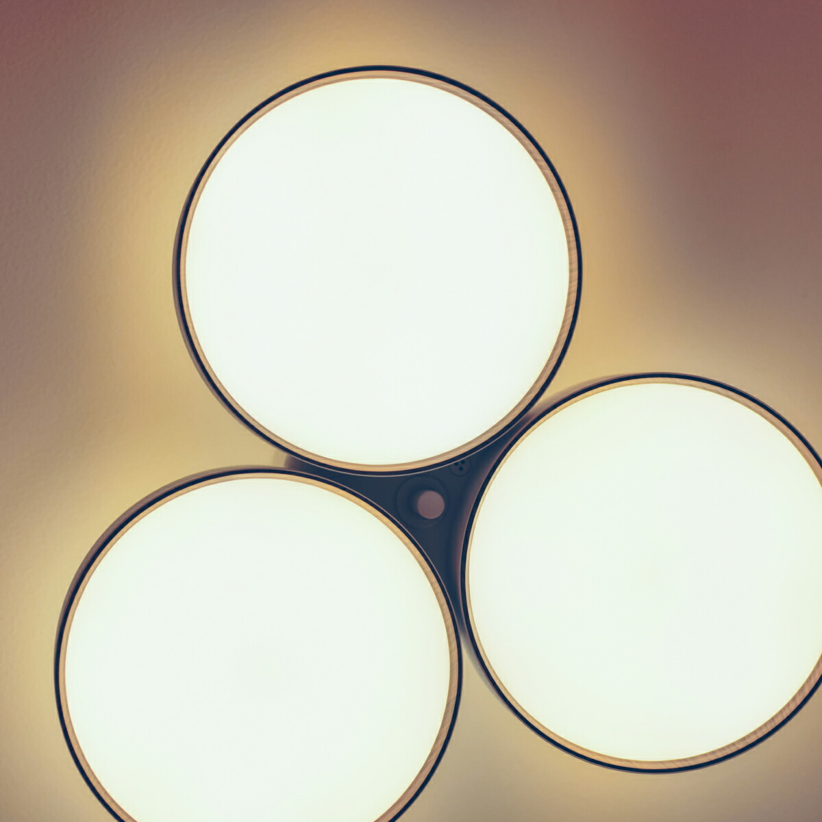 楽天市場】【アートワークスタジオ公式】シーリングライト おしゃれ