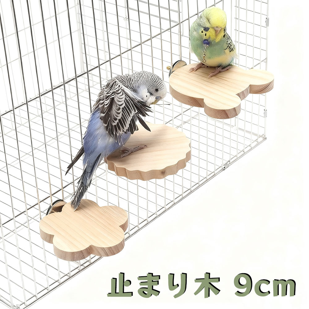 楽天市場】止まり木 9cm インコ 鳥 文鳥 おもちゃ パーチ 鳥休み場所