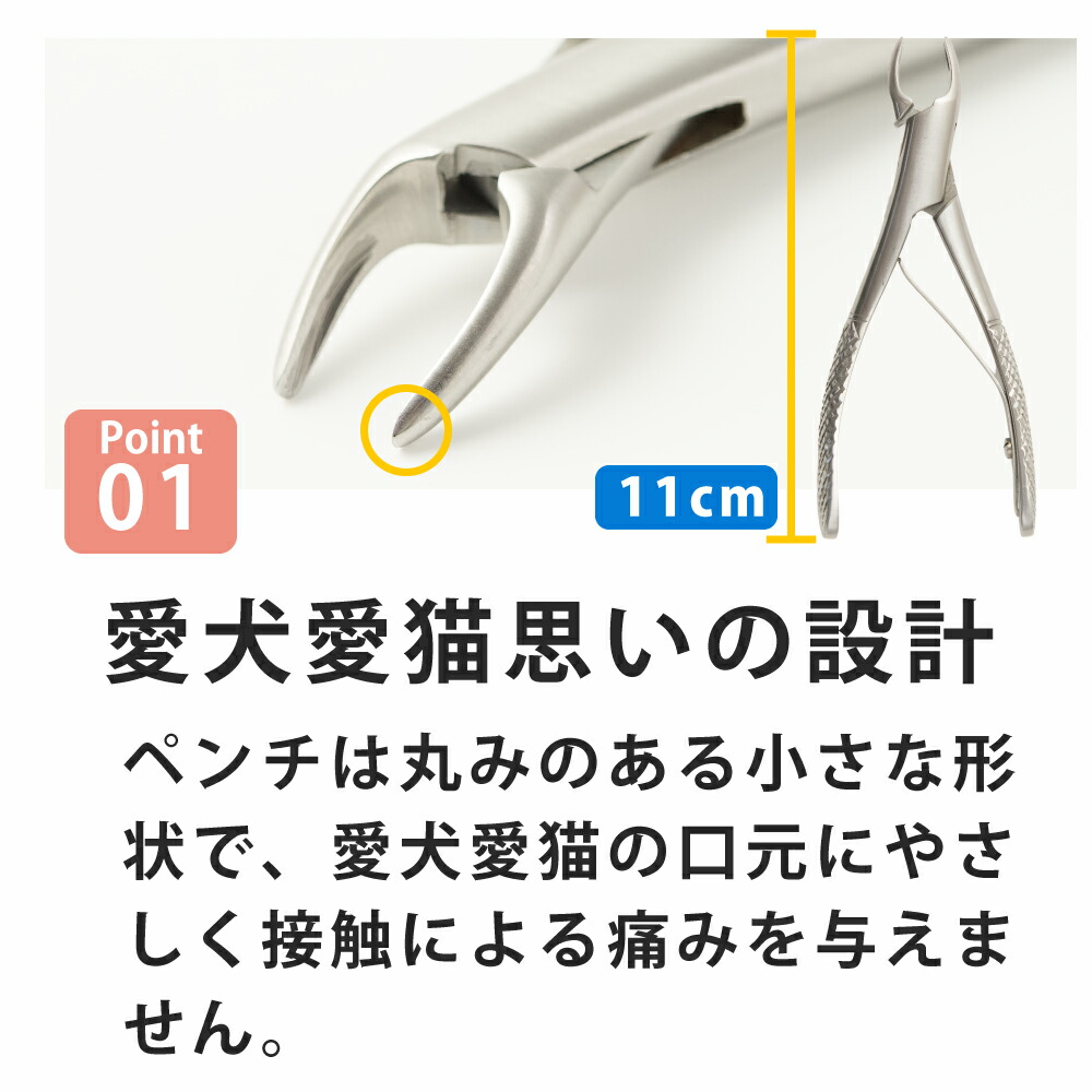 楽天市場】愛犬・愛猫歯石取りペンチとスケラーセット 犬 歯磨き