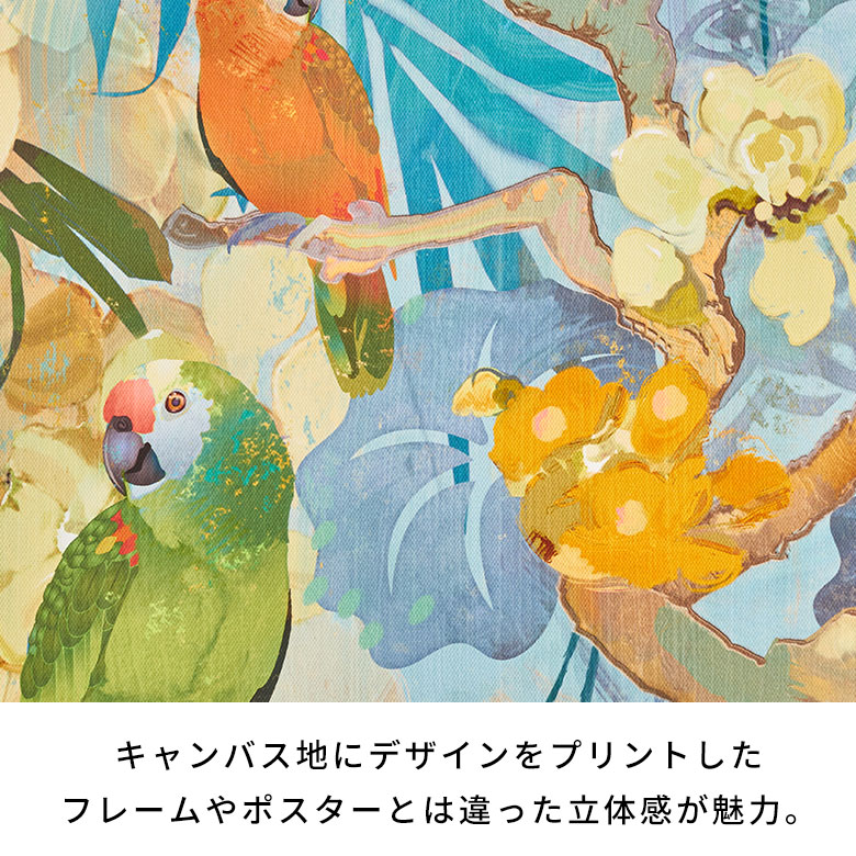 楽天市場】アートパネル インコ 鳥 フラワー 花 キャンパス パネル 約