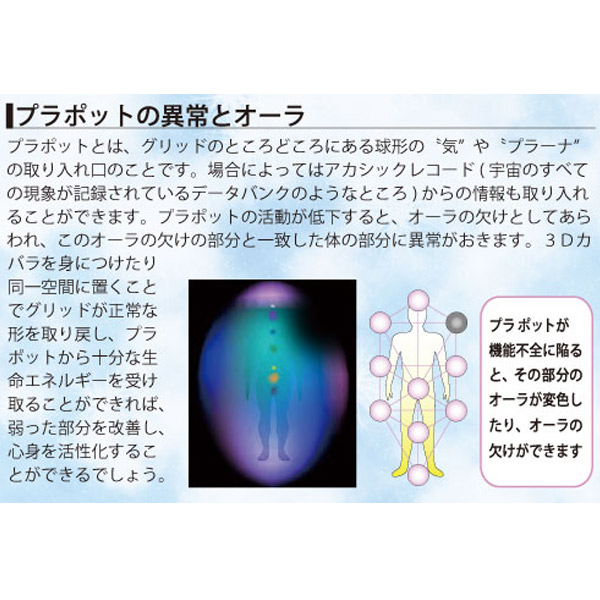 楽天市場】3Dカバラ・パドマペンダント 医学博士 丸山式 丸山