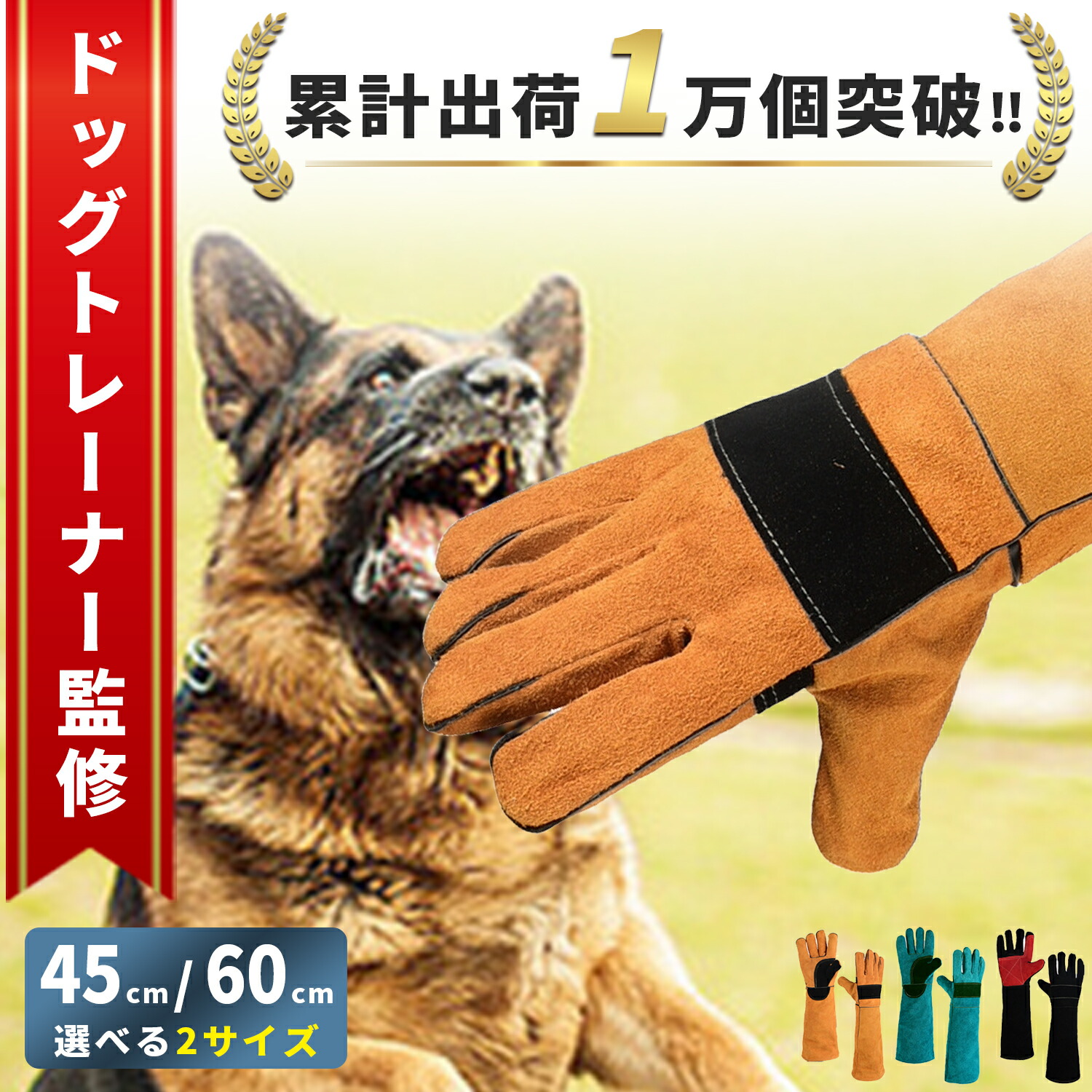 楽天市場】【ドッグトレーナー監修/ランキング1位】ペットグローブ