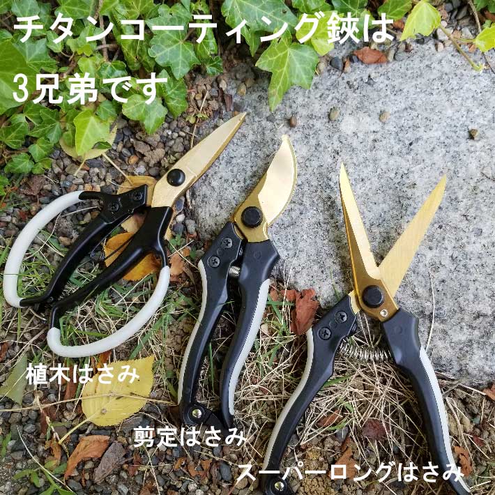 楽天市場】チタンコーティング 植木はさみ A918 ( 剪定ばさみ