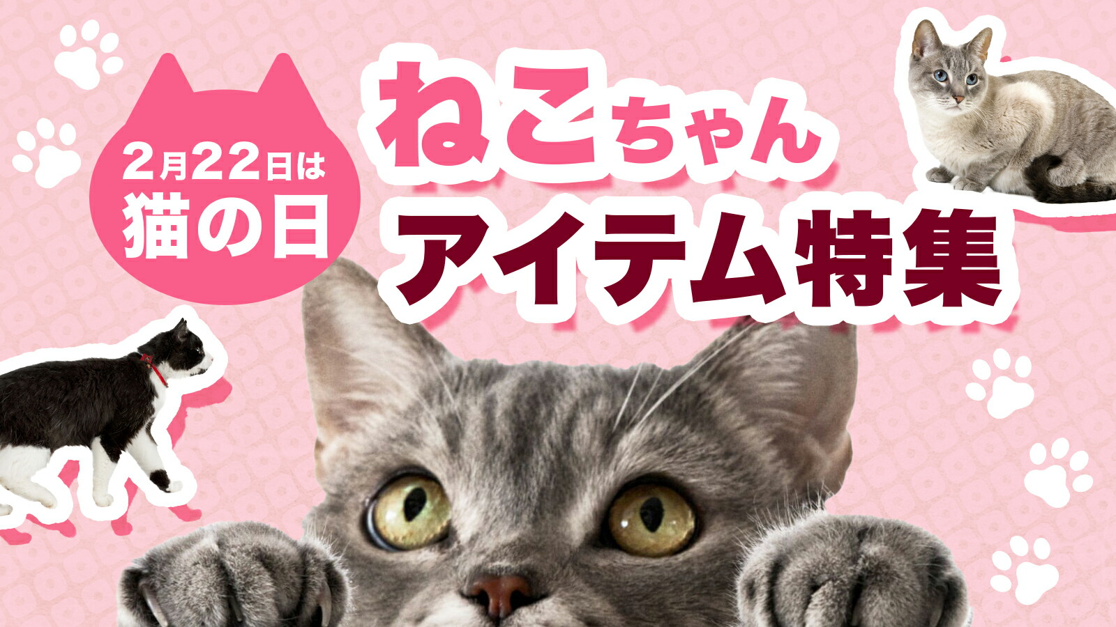楽天市場 | 雑貨イズム - 2.22猫の日。ねこちゃんアイテム特集。