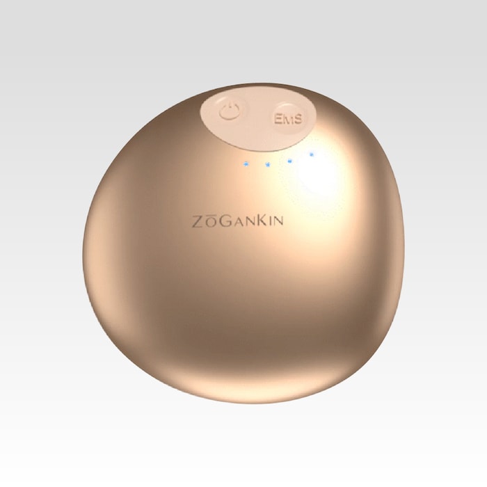 楽天市場】【A倉庫】SALE！ ゾーガンキン スカルプ 【 1年保証