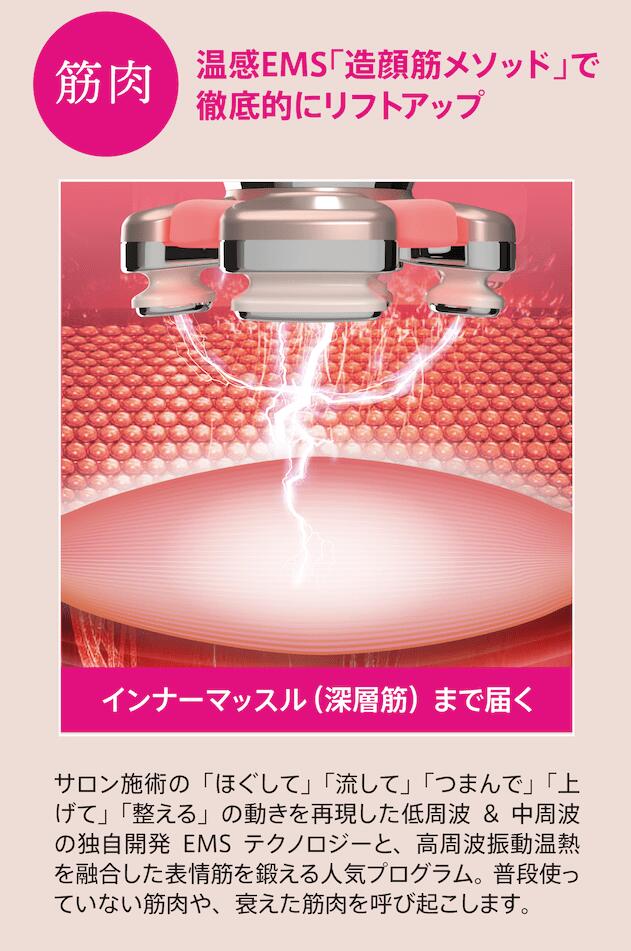 楽天市場】【A倉庫】正規品 ZOGANKIN BLOOM（ ゾーガンキン ブルーム