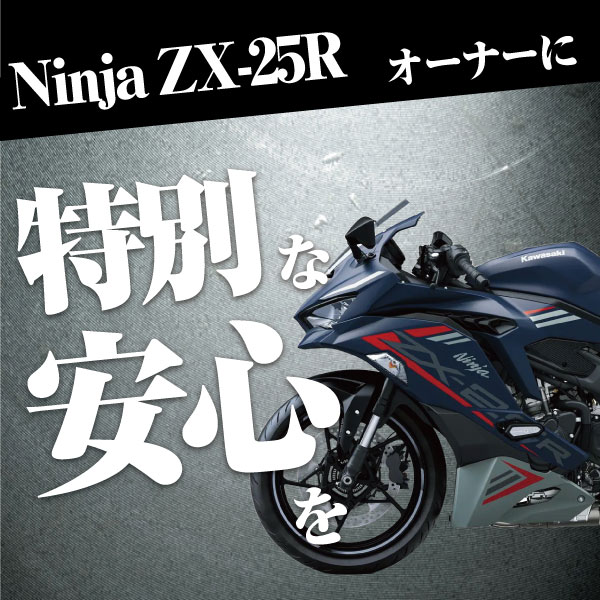 楽天市場】【スーパーSALE☆エントリーでP10倍】バイク用バッテリー