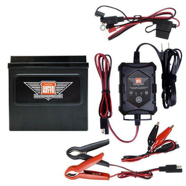 楽天市場】【マラソン☆エントリーでP10倍】ハーレー対応 充電器＋AGM