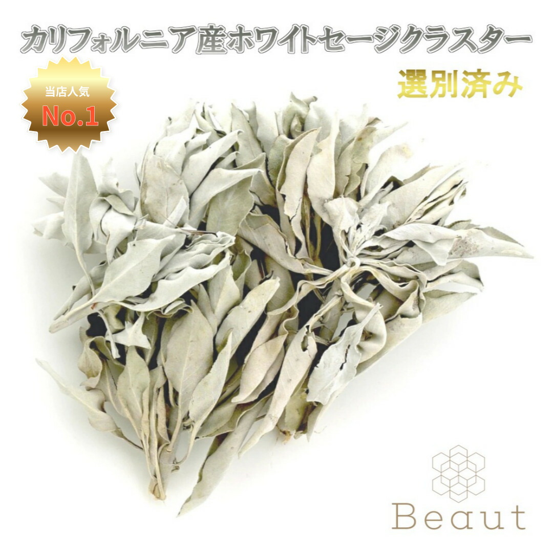 楽天市場】2025年12月下旬収穫 高品質 オーガニック ホワイトセージ