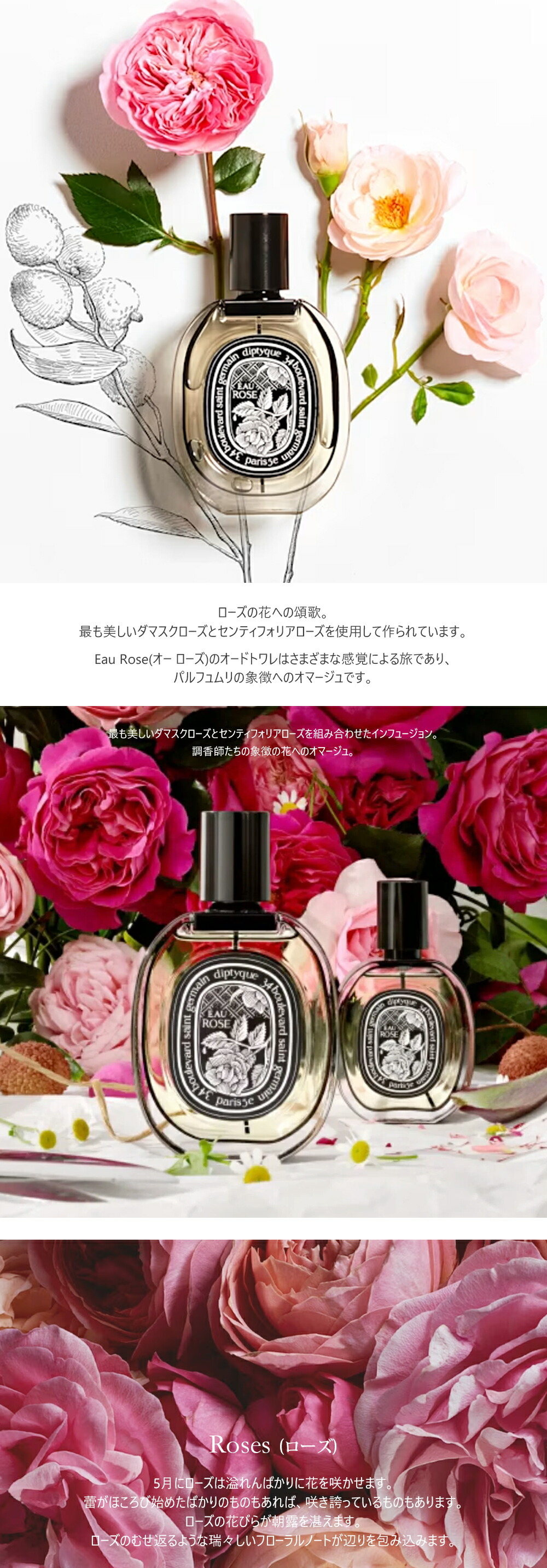 楽天市場】DIPTYQUE オー ローズ オードトワレ EDT 50ml