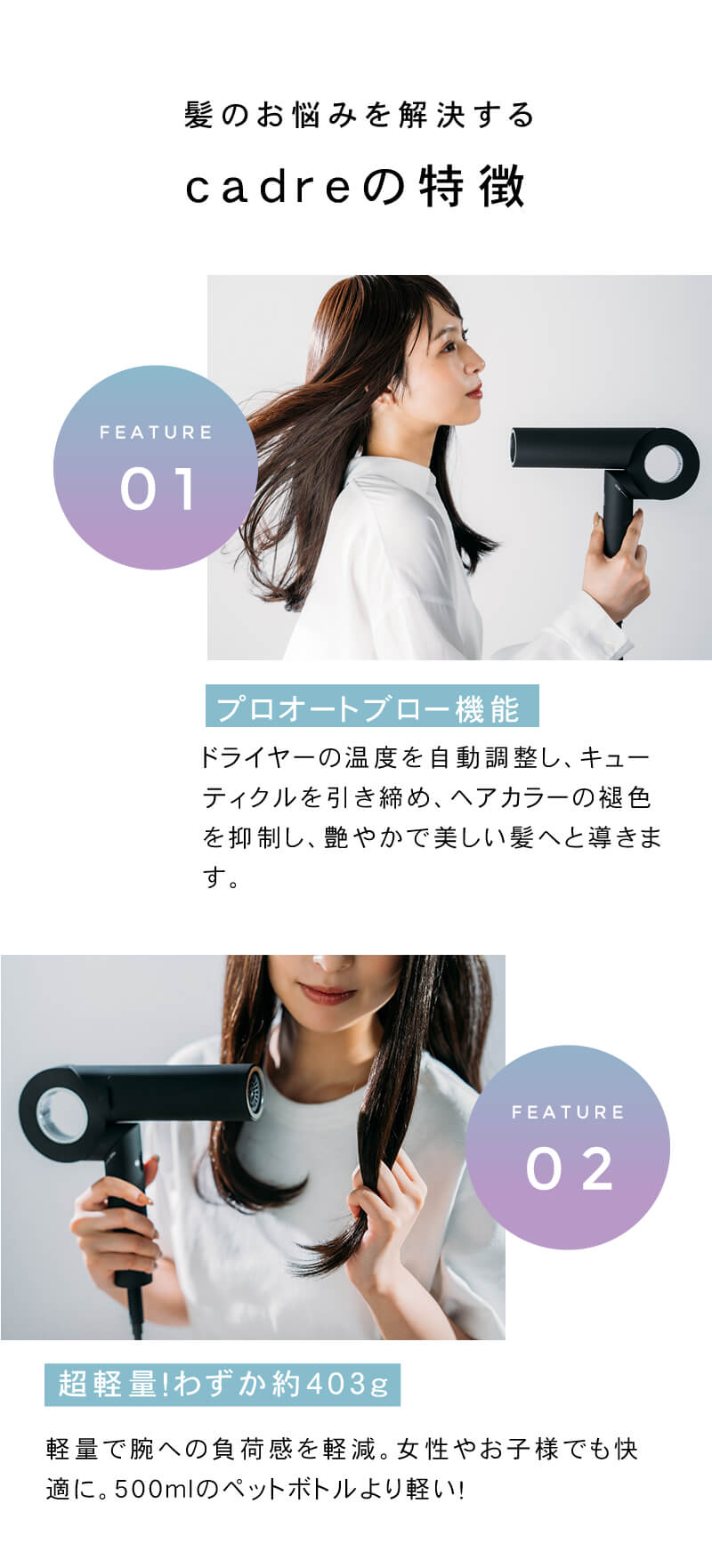 楽天市場】【選べるカラー/送料無料/ヘアオイル付き】cadre hair dryer