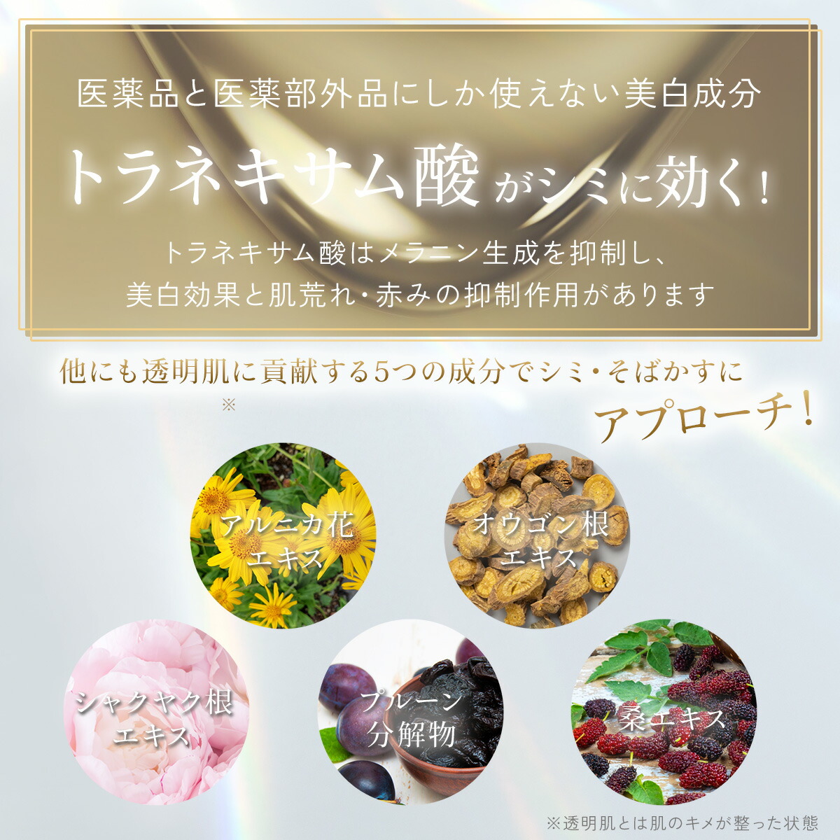 楽天市場】【2点セットA】ストレピア マスクウォッシュ 110g ＋ 薬用