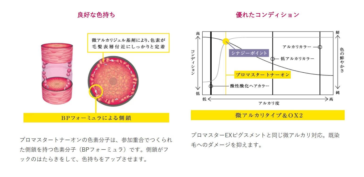 楽天市場】ホーユー プロマスター トナーオン CL-t : ベリーズコスメ