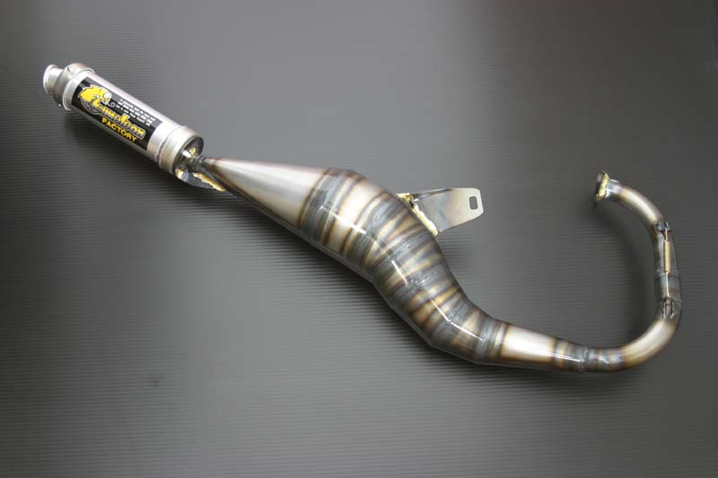 楽天市場】パラライザーiii カメレオンファクトリーの通販