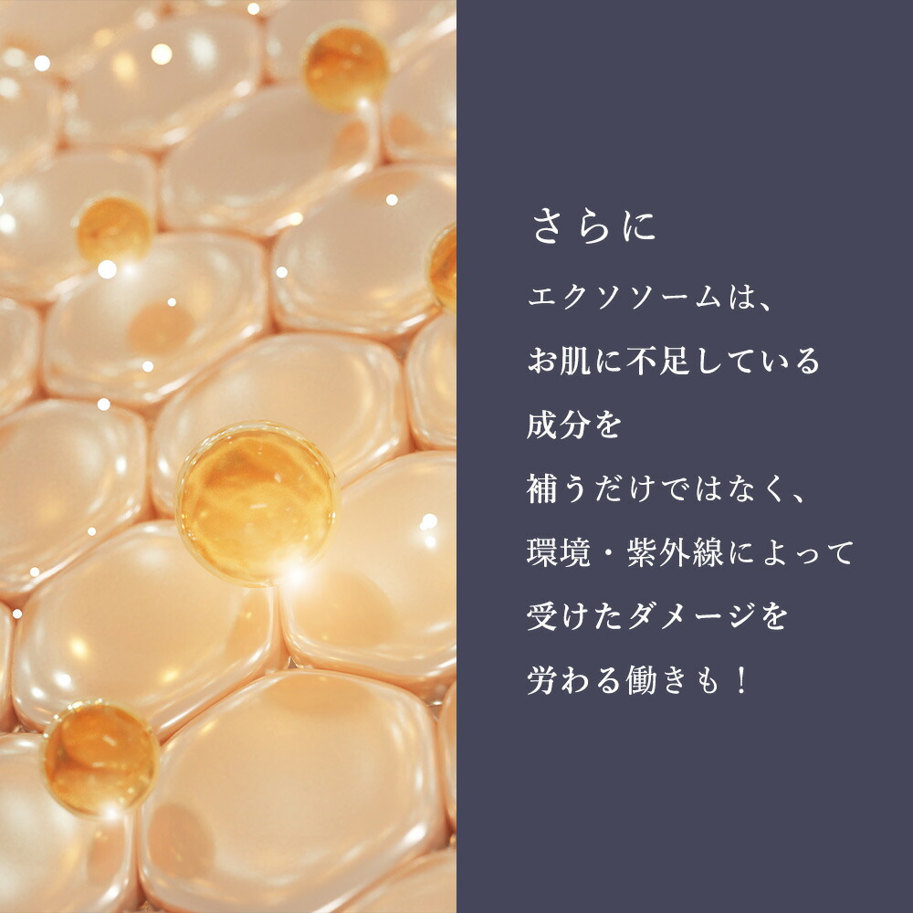 楽天市場】ヒト幹細胞 エクソソーム 高配合｜美容液【セルコード