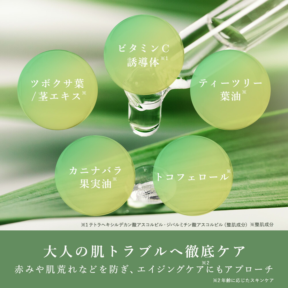 楽天市場】アゼライン酸 配合 洗顔 毛穴 洗顔フォーム【 グリーン
