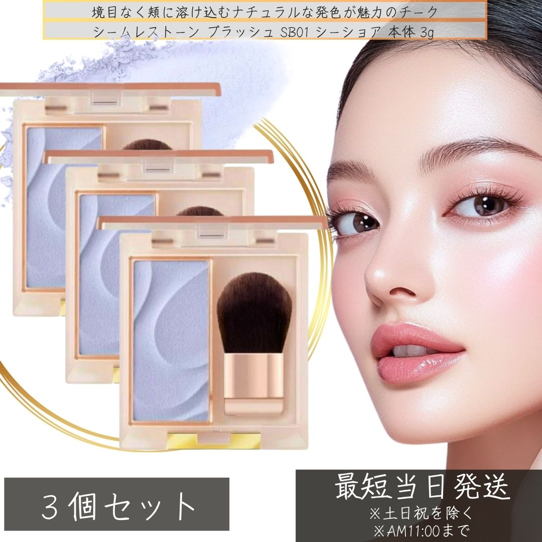 チーク アイシャドウ セット」の人気商品一覧 | 安い商品を通販サイト