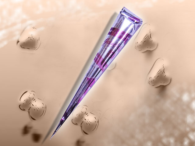 楽天市場】ヘナ ボディ アートの通販