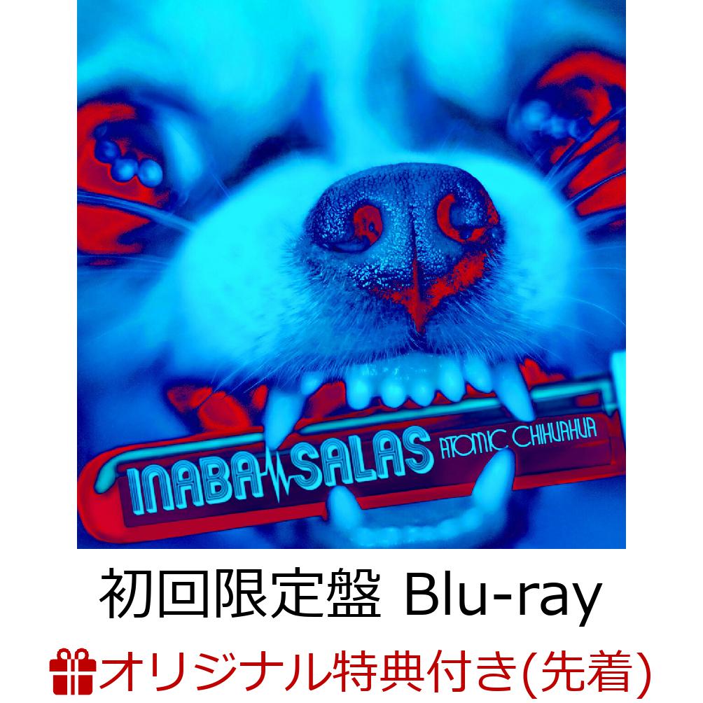 楽天ブックス: 【楽天ブックス限定先着特典】ATOMIC CHIHUAHUA (初回