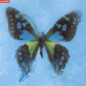 楽天ブックス: アゲハ蝶 - ポルノグラフィティ - 4988009510491 : CD