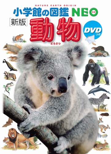 楽天市場】【 小学館の図鑑 NEO 動物 DVDつき 新版 】 ずかん NEO