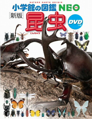 楽天市場】【 小学館の図鑑 NEO〔新版〕 昆虫 DVDつき 】 ずかん NEO