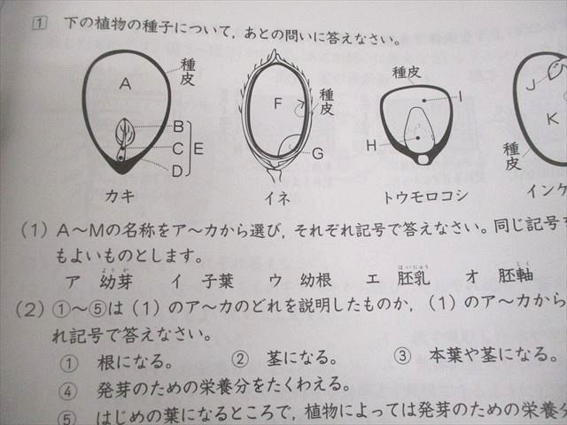 楽天市場】Gnoble グノーブル 小6 理科 グノベーシック/土曜/志望校