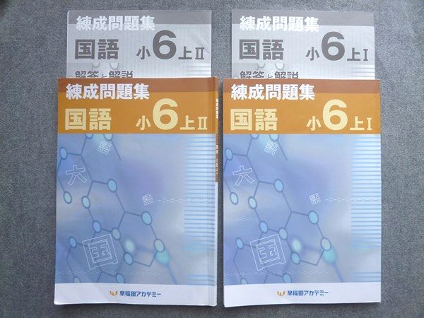 楽天市場】早稲田アカデミー 錬成問題集 国語 小6上I/II 2023 計2冊