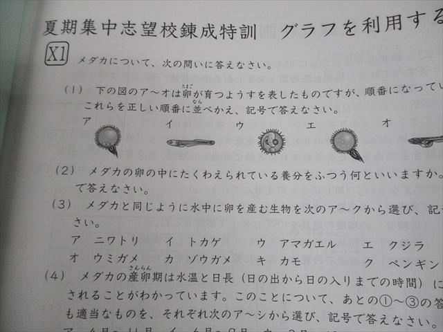 楽天市場】SAPIX サピックス 小6 理科 2021年度版 夏期集中 志望校錬成
