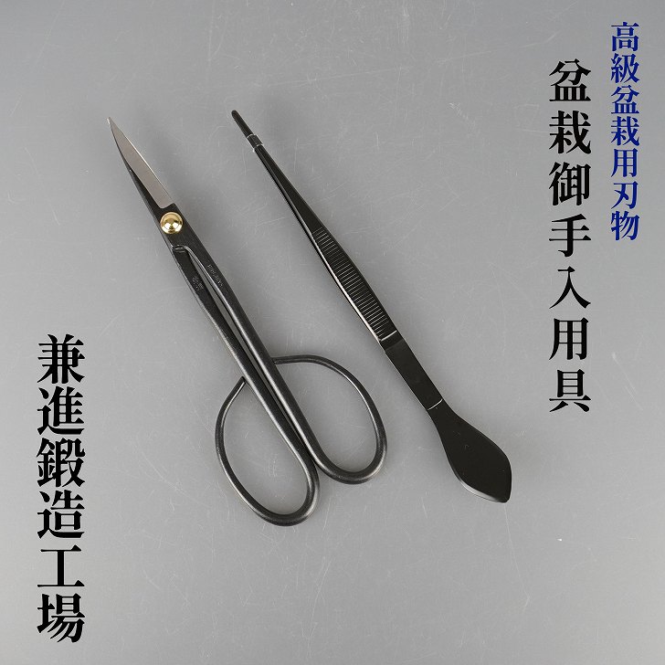 楽天市場】盆栽 道具 セット 剪定ばさみ 兼進刻印 ピンセット