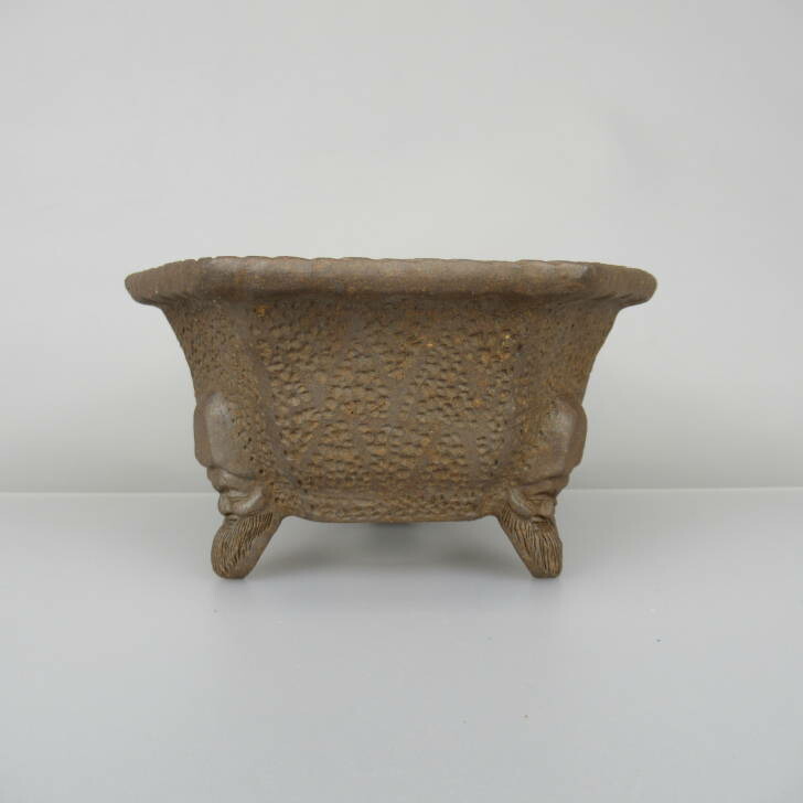 楽天市場】盆栽鉢 陶雀 鬼宝堂 林陶雀 泥鉢 六角 人面足 現品 新品