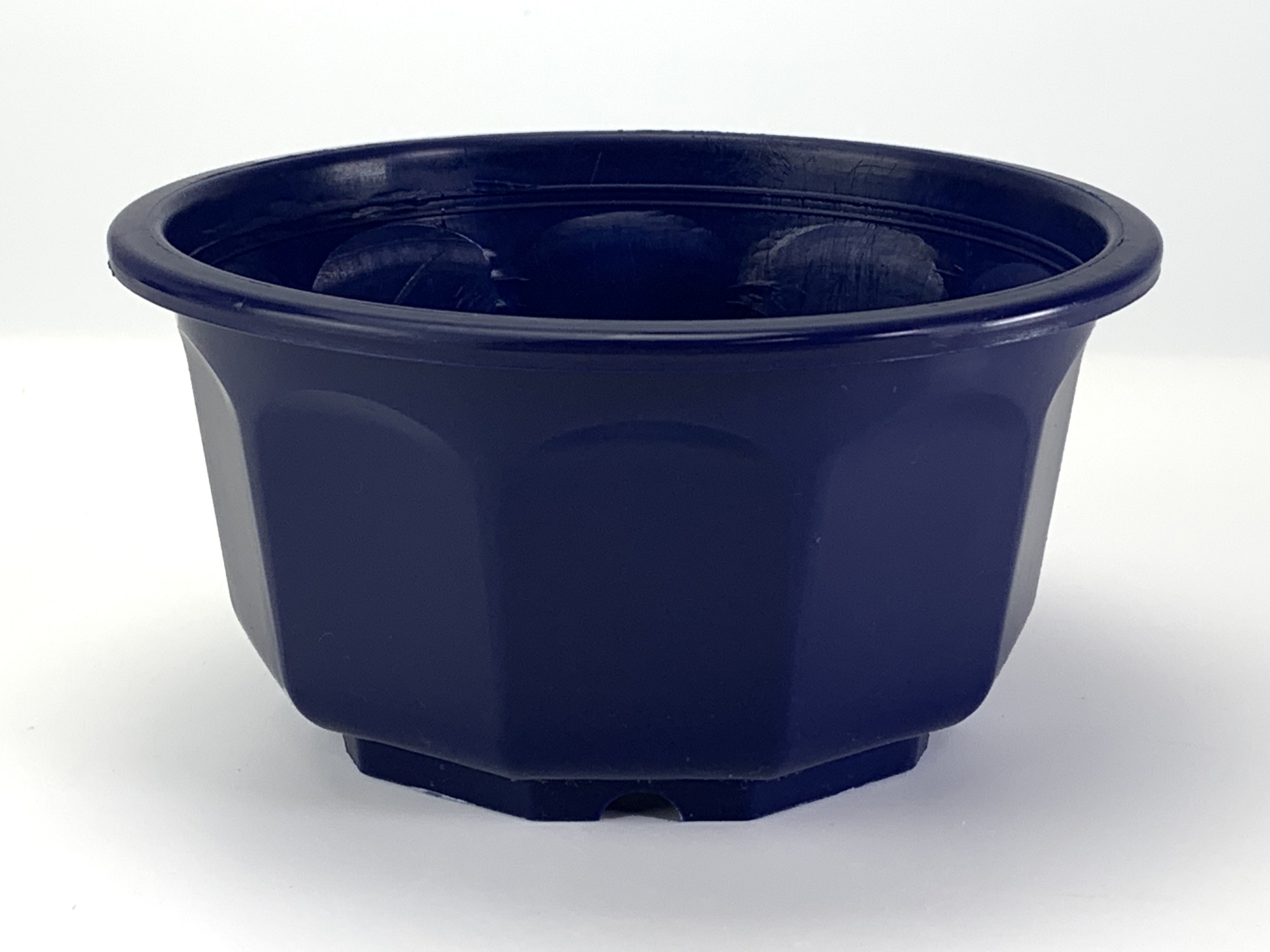 楽天市場】プラ鉢 5号 浅型和鉢 青 5AS 幅15cm×高さ7.5cm ミニ盆栽