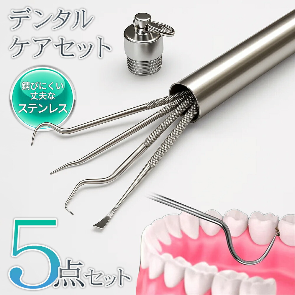 楽天市場】デンタルケア ケース付き 5点セット 男女兼用 デンタル