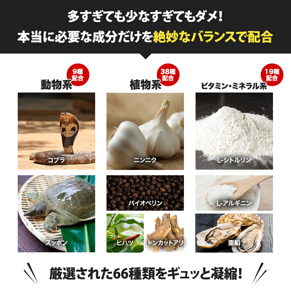 楽天市場】増大サプリ BRAVION S. ブラビオンエス 公式通販 2ヶ月分