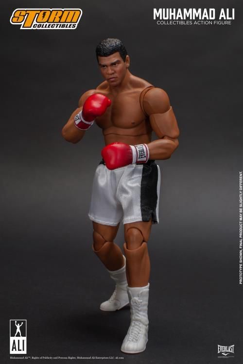 楽天市場】「新品・在庫」 Storm Collectibles king of boxing