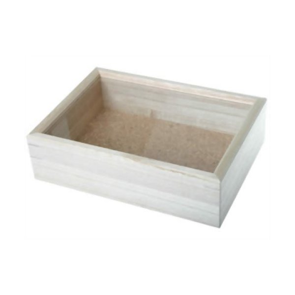 楽天市場】志賀昆虫 インロー硝子蓋式標本箱 (桐製コルク板敷) 小型