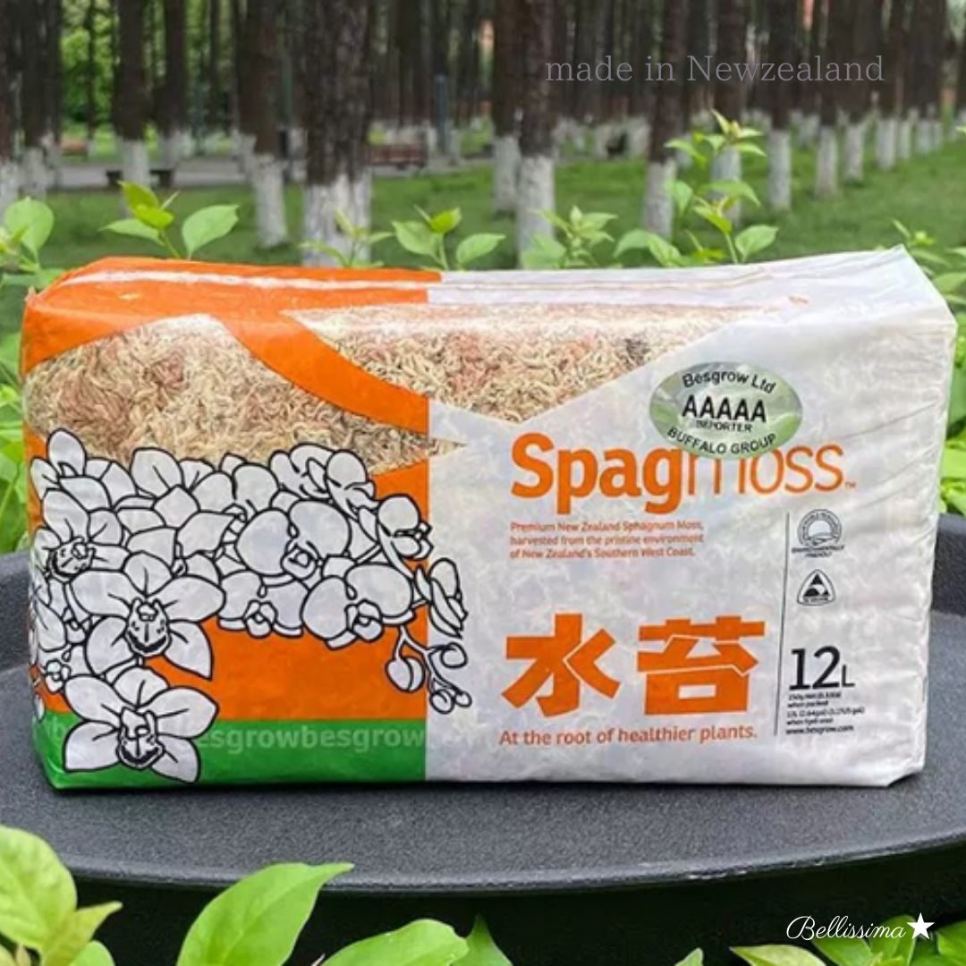 楽天市場】【送料無料※離島除く】ニュージーランド産 水苔 5A 3A AAAAA