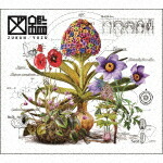 楽天市場】ゆず／図鑑 (初回生産限定盤/CD+DVD)[TFCC-81089]【発売日