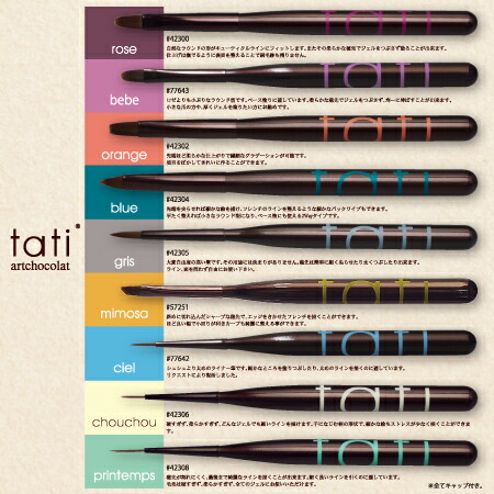 楽天市場】【当日発送可】tati タチ アートショコラ ブラシ スターター