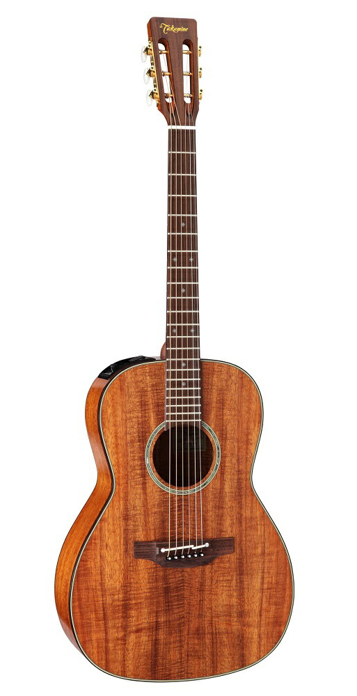 アコースティックギター Takamine」の人気商品一覧 | 安い商品を通販