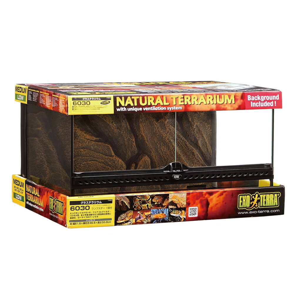 楽天市場】6030 グラス テラリウムの通販