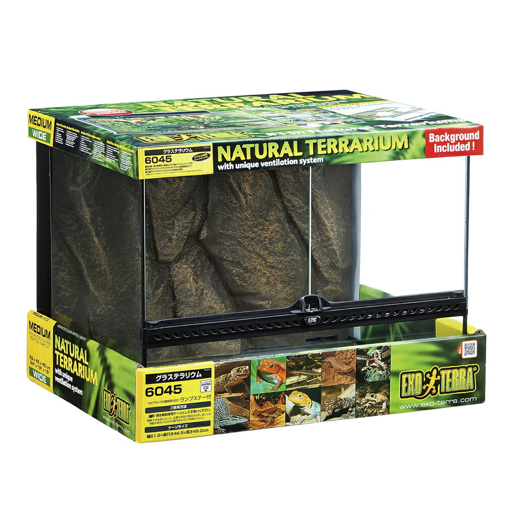 楽天市場】爬虫類 ケージ 6045の通販