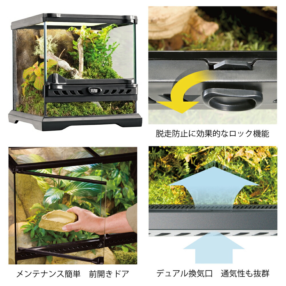 楽天市場】爬虫類ケージ GEX エキゾテラ グラステラリウム ナノ
