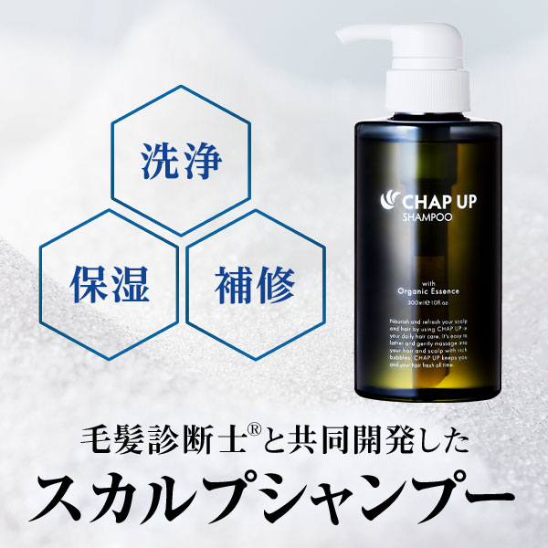 楽天市場】公式 チャップアップ CHAP UP シャンプー メンズ ボトル