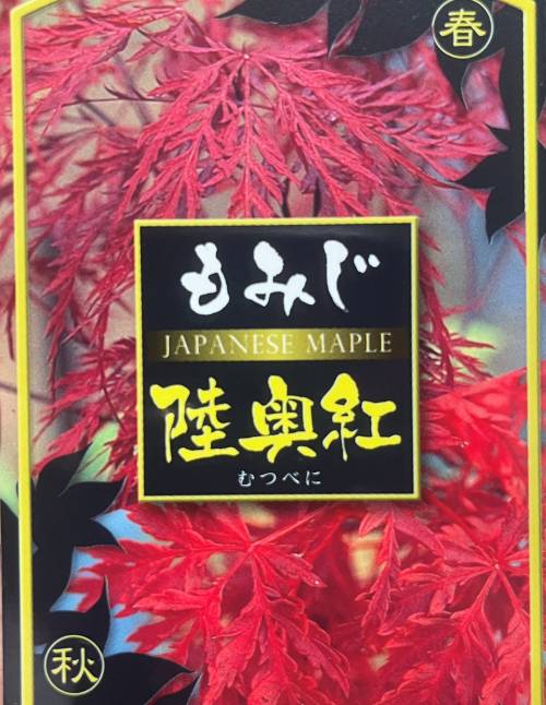 楽天市場】アカシダレモミジ 陸奥紅（ムツベニ）4.5号 苗木（k09