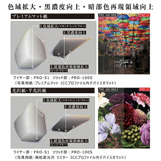 楽天市場】キヤノン インクジェットプリンター PIXUS PRO-S1 4280C001