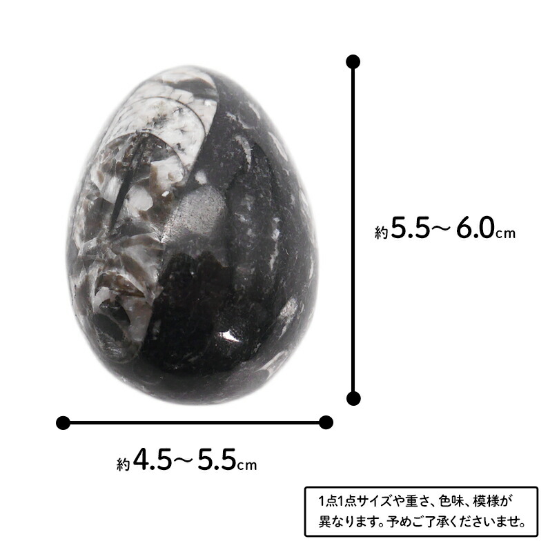 楽天市場】エッグ型【ストーンオブジェ】たまご型 マーブル 大理石