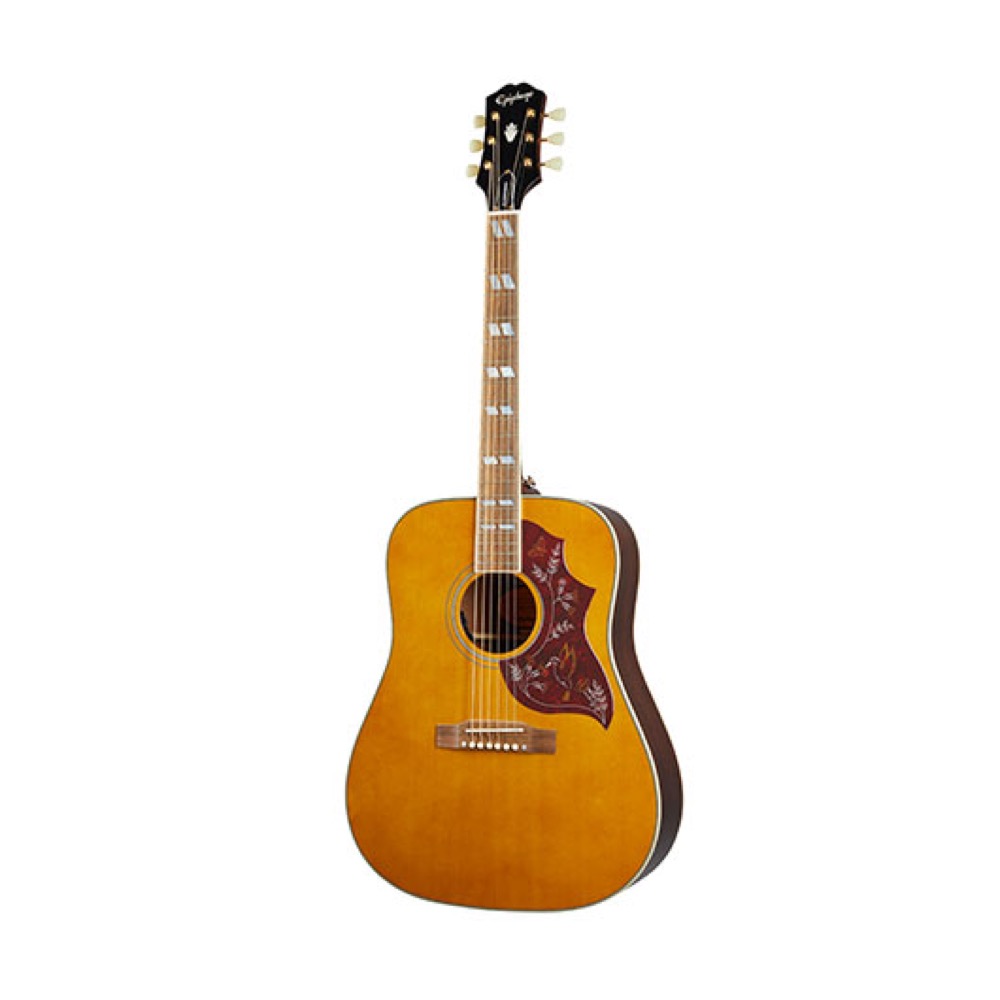 楽天市場】epiphone エピフォン hummingbirdの通販