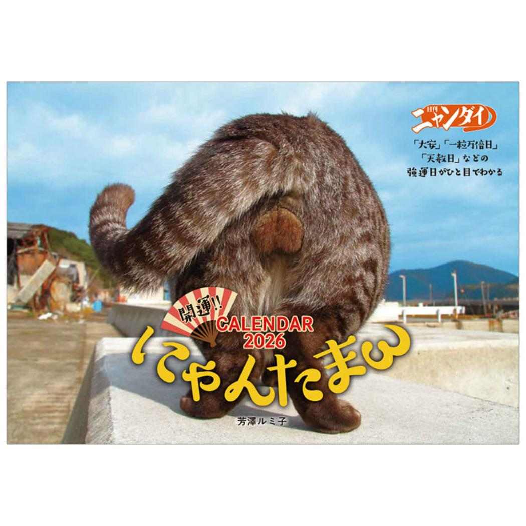 楽天市場】【ポイント10倍 & クーポン！】にゃんたまカレンダー2026