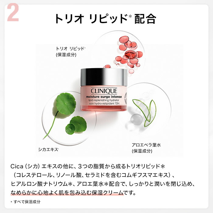 楽天市場】【ポイント10倍 さらにエントリーで+4倍 | 3/4 20:00〜 3/11